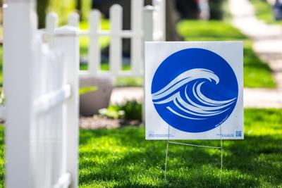 Here's what proud 'Blue Dot' voters said about 'risk' in race for Nebraska CD2