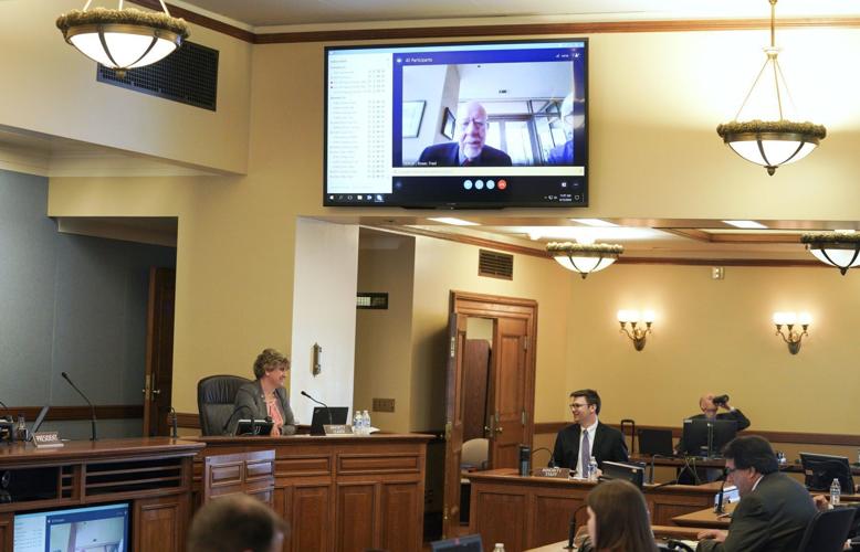 Virtual Senate Session