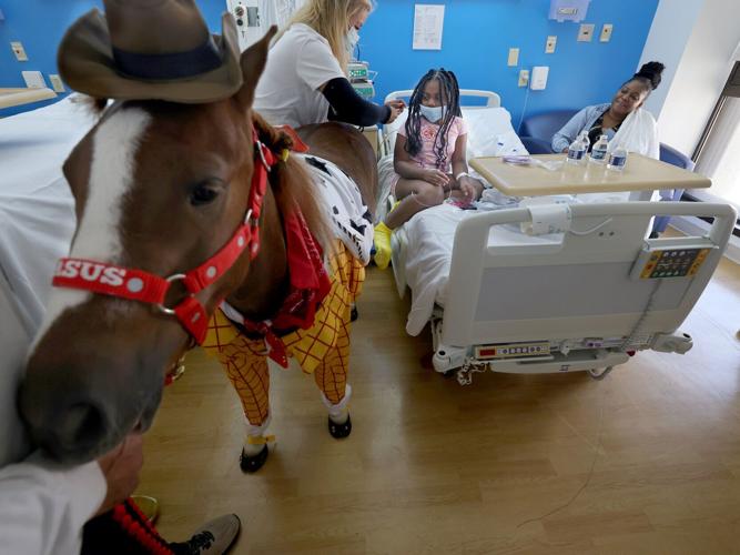 LIF-HEALTH-HORSES-HOSPITALS-2-MI