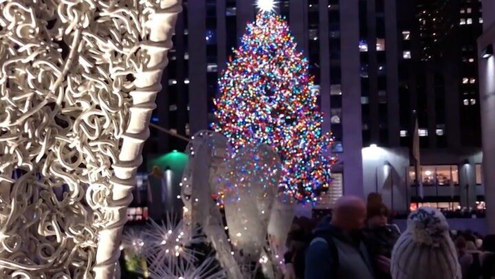 Famous Rockefeller Christmas Tree Wasn T The First Public Christmas Tree In Nyc National News Lexch Com