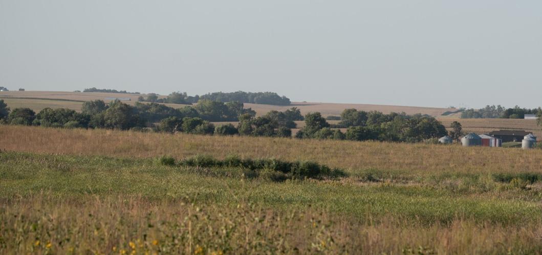 Saline Meadows Landscape.jpg
