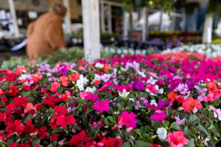 042722-owh-new-gardencenters-ar07