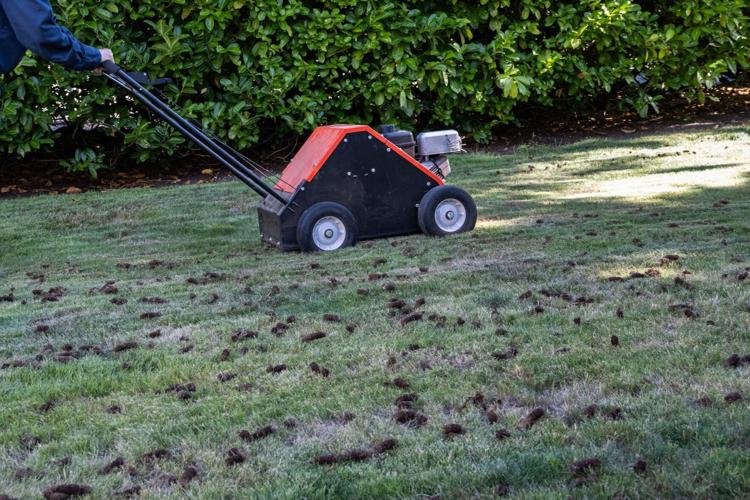 Aerating lawn