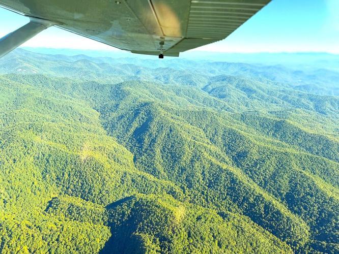 A Forest Service assessment identified 152,488 acres of inventoried roadless areas in Western North Carolina, like those seen here in the Pisgah National Forest.