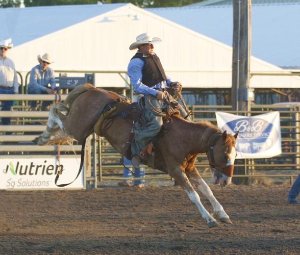 Chad Connelly ranch broncs