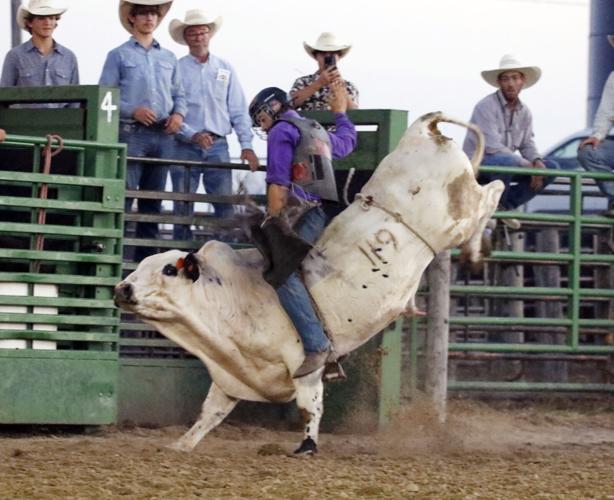 Casey Reis bull riding