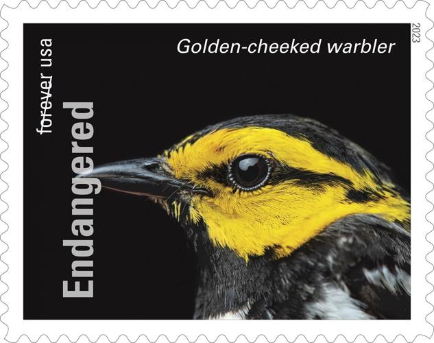 Photo Ark stamps