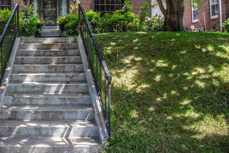 Steps and lawn