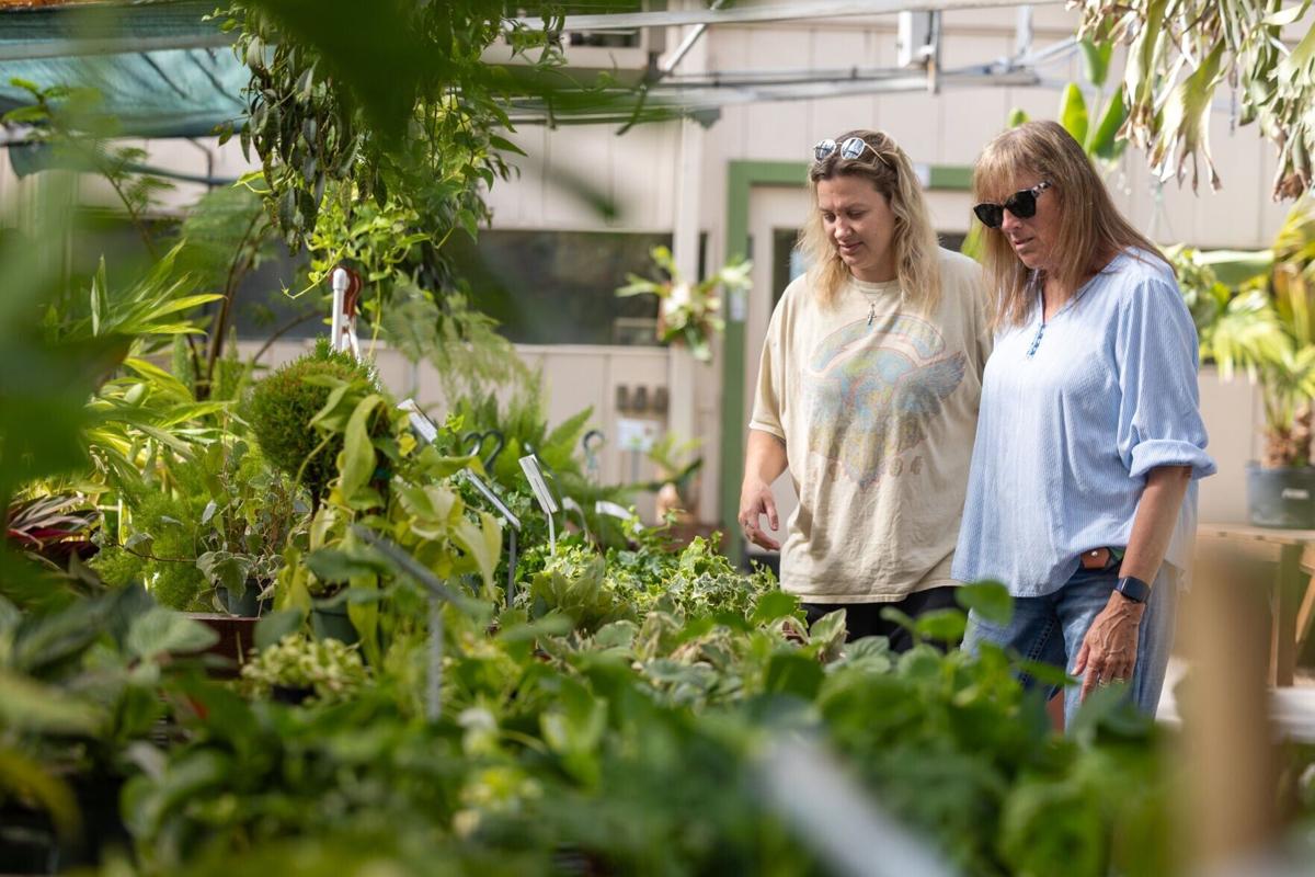 Campbell's Nurseries Location closing, 6.12