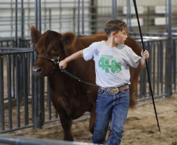 Parker Caraway showmanship