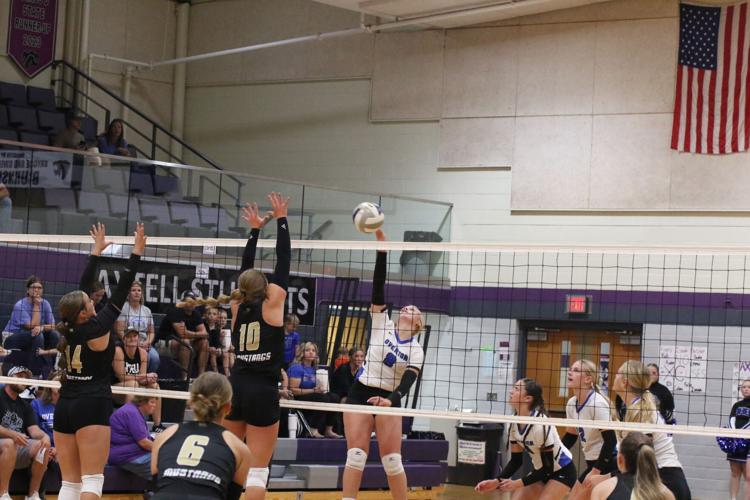 091424-lex-sports-vb-tri-p5