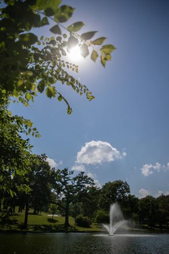 Sun (copy)