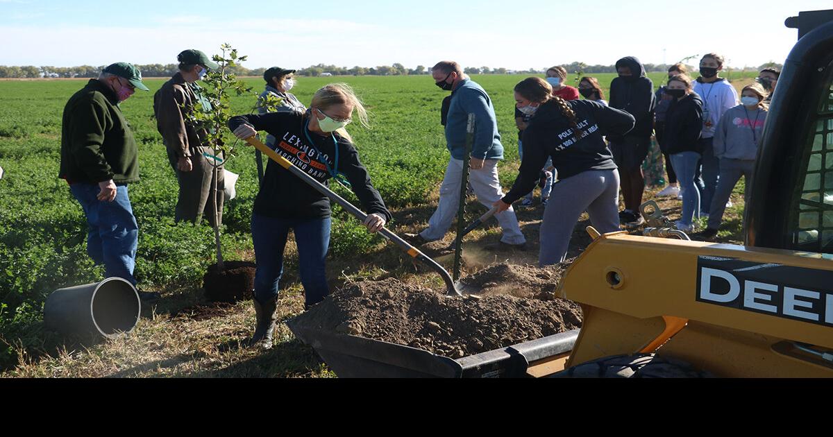 City of Lexington receives free trees, students to gain planting experience