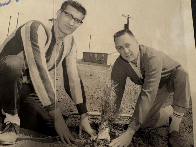 Huffman-planting
