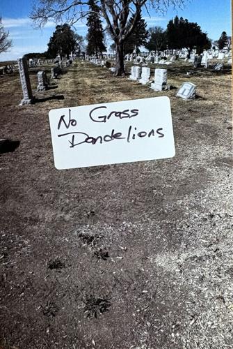Cemetery photo 5.jpg