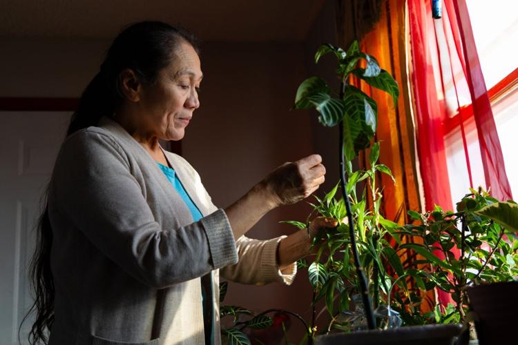 COPYRIGHT RESTRICTED FFP—Lexington