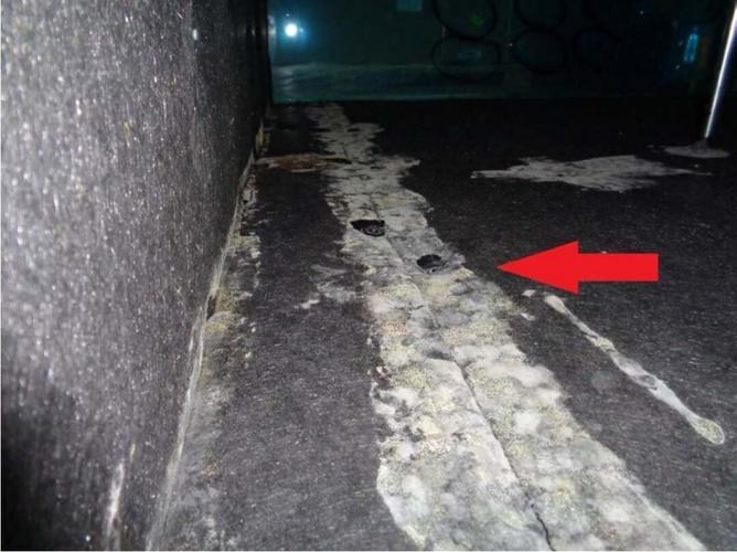 mold 1