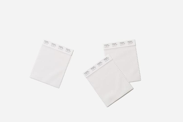 Pantone's color of the year is Cloud Dancer.