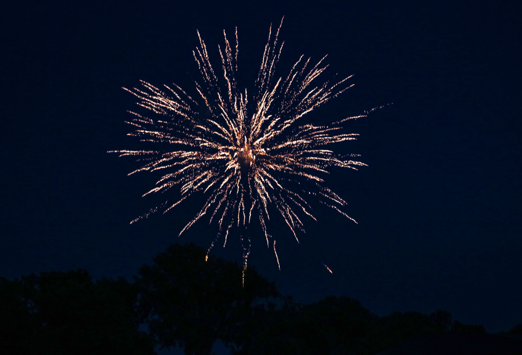 070823-lex-news-July-Fourth6.JPG