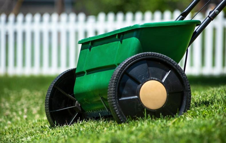 Grass seending a lawn