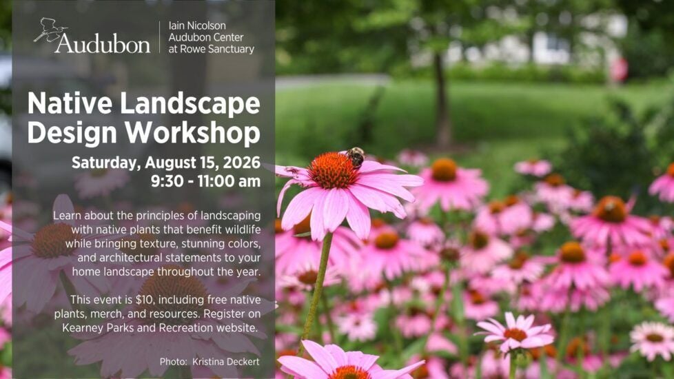 Native Landscape Design Workshop