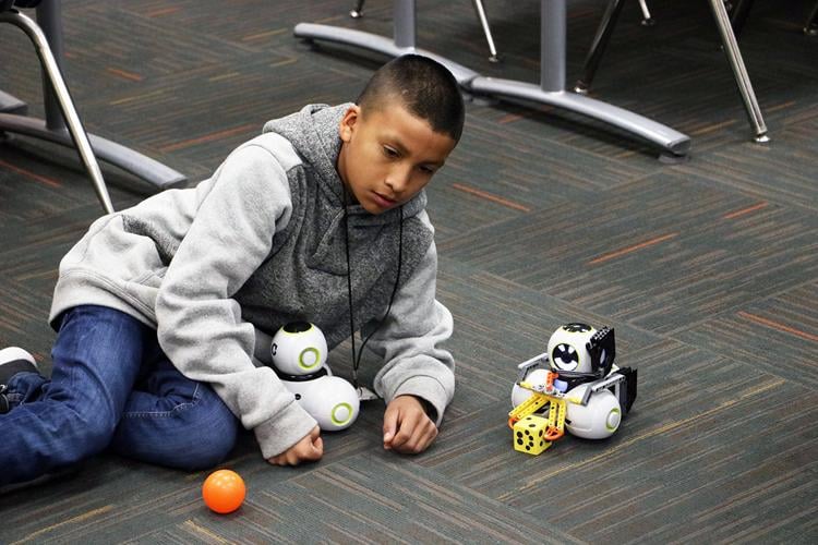 LMS robotic programming