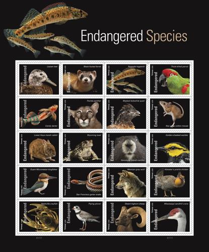 Photo Ark stamps