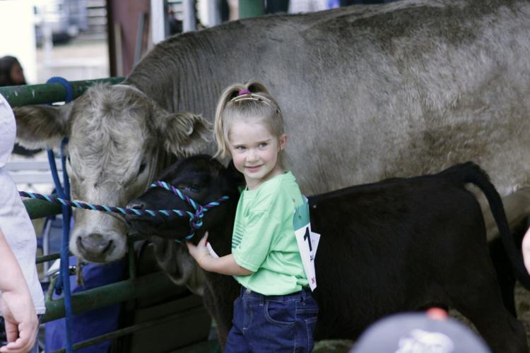 071923-lex-news-dawson-fair16.JPG