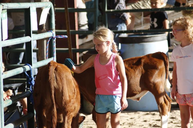 080123-lex-news-gosper-fair02.JPG