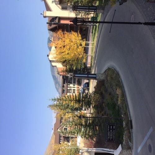 ogintz-antlers-20201015