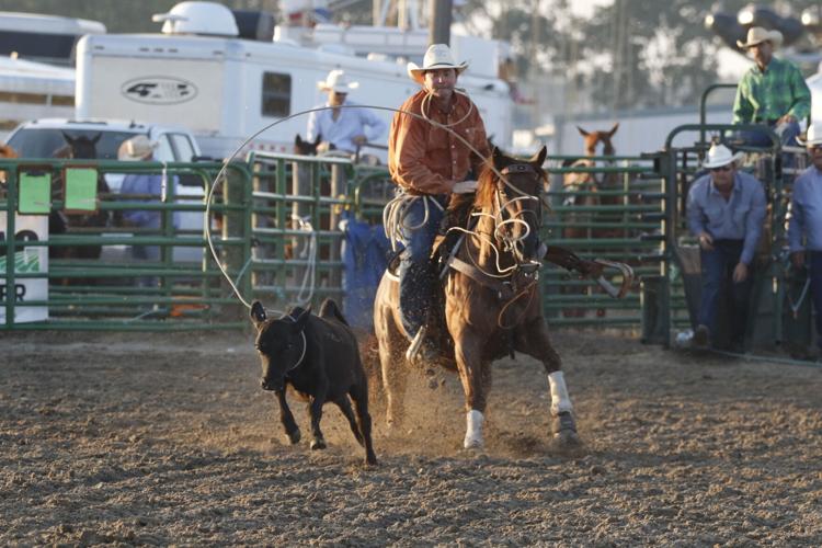 Matthew Miller tie-down roping