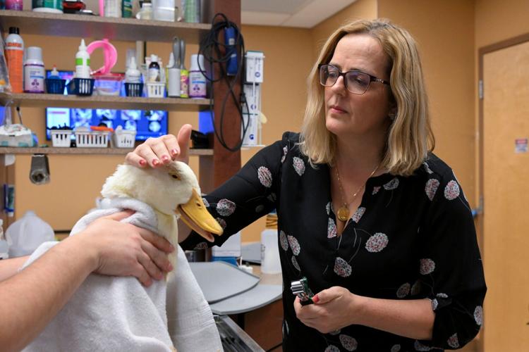Veterinary clinic