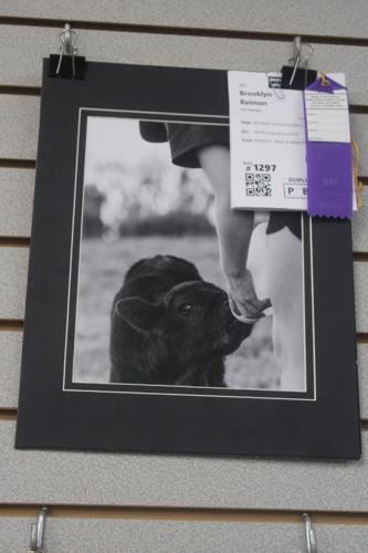 Brooklyn Reiman state photography