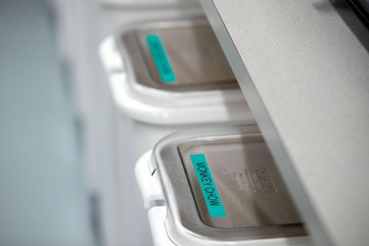 113021-owh-new-wildliferehab-pic-cm006