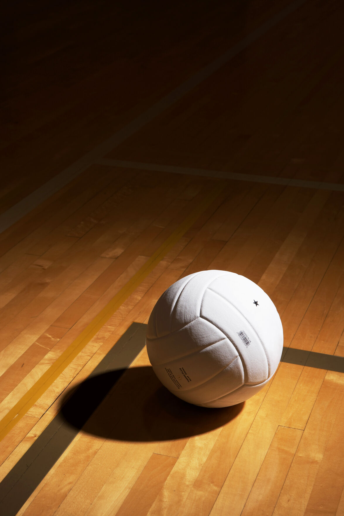 Area volleyball players selected on SWC teams