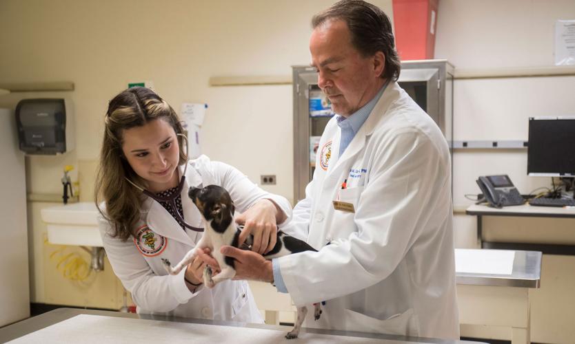 Puppy born with upside-down paws