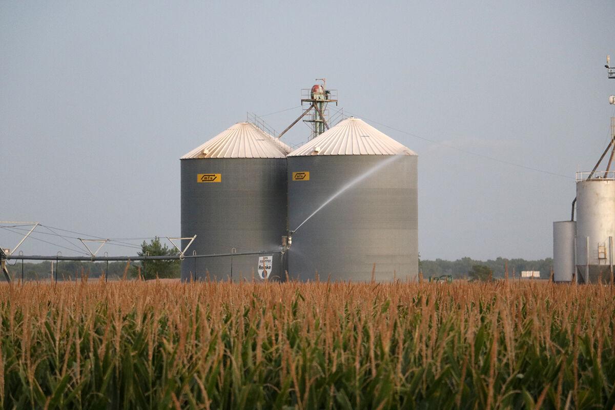 USDA coronavirus assistance for farmers