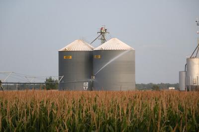 USDA coronavirus assistance for farmers