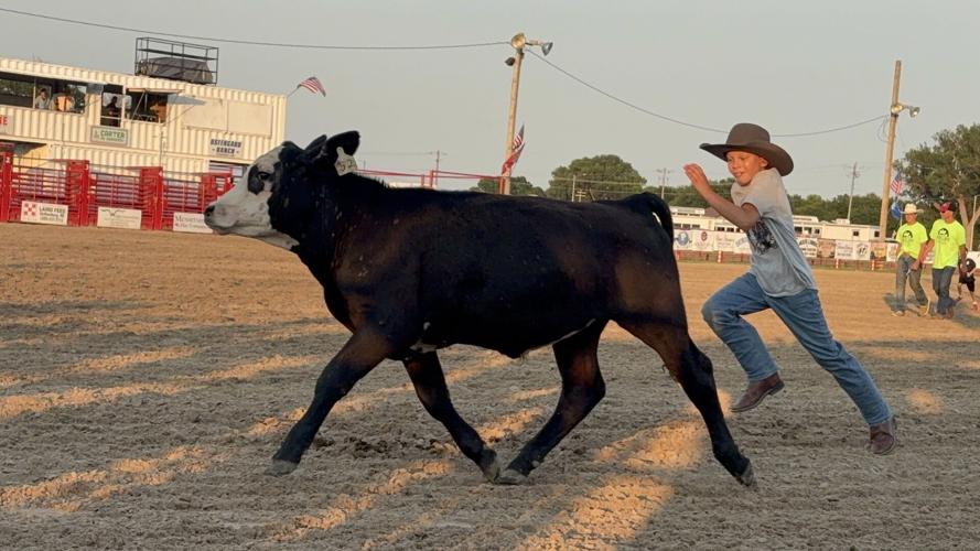 Calf Scramble