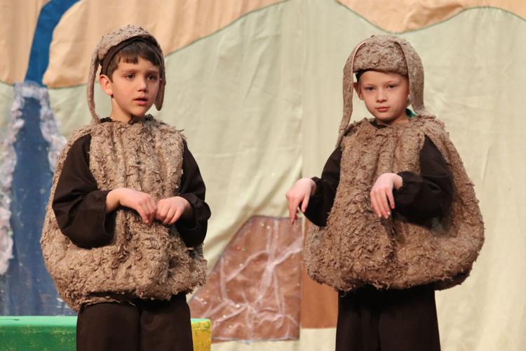 MCT Dust Bunnies.jpg