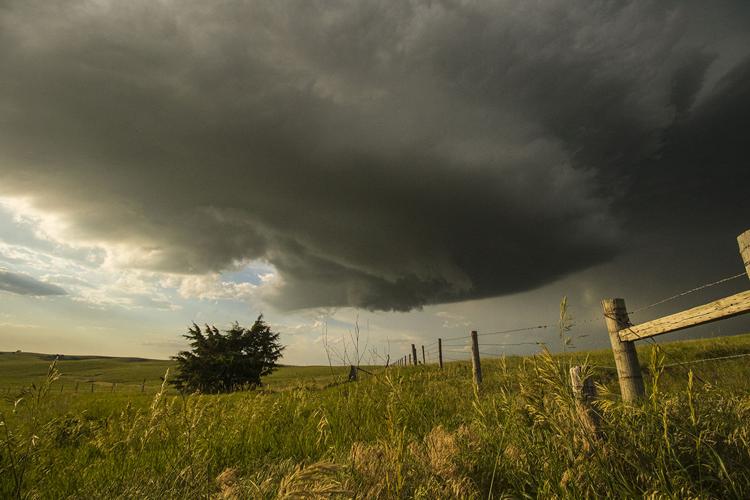 Base of the storm/fence line