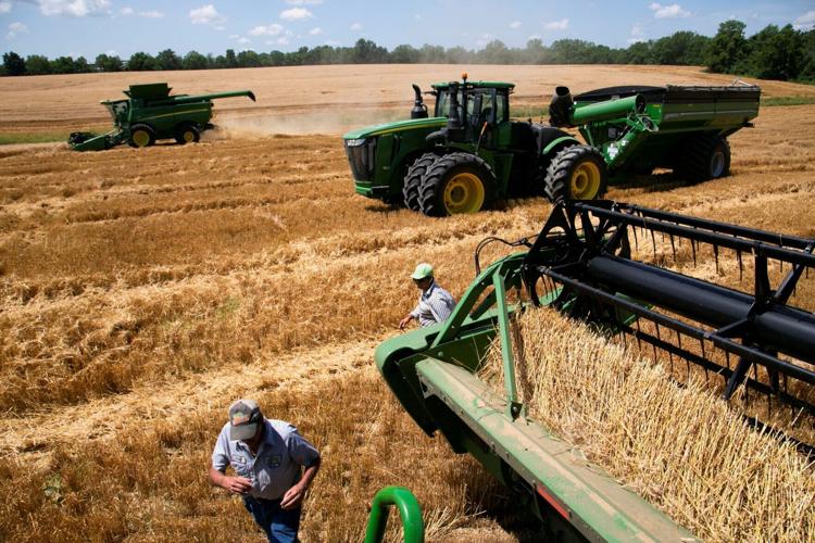 FILE PHOTO: Wheat harvest in Kentucky