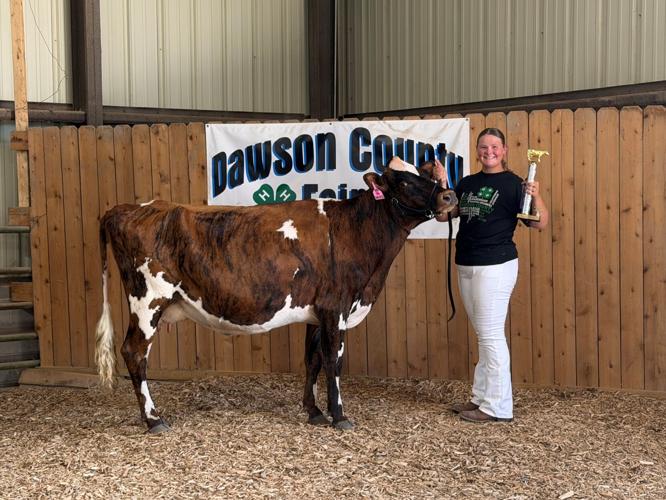 Dallee Barnes wins senior dairy showmanship