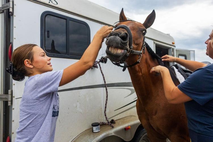 Lancaster County Fair preview, 7.28