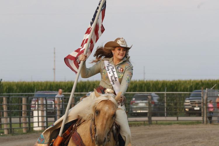 082024-lex-new-forster-p2