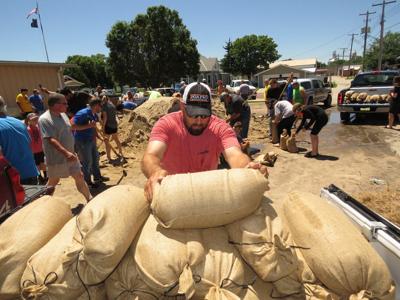 Gibbon sandbags8.JPG