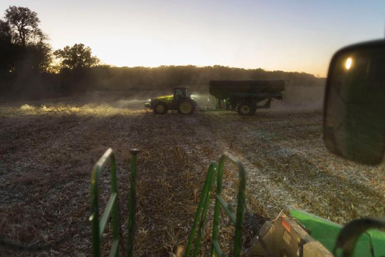 COPYRIGHT RESTRICTED/Nitrate water