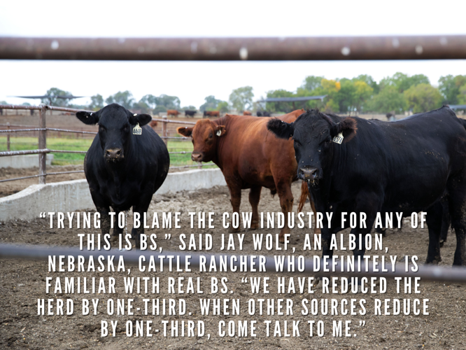Beef quotes
