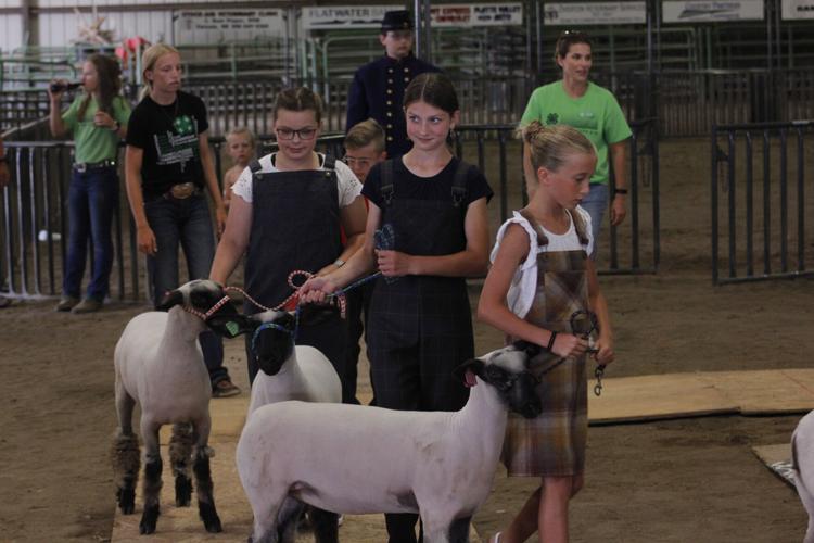 071923-lex-news-dawson-fair20.JPG