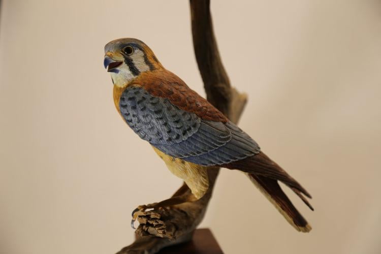 Sherri Payne turned wood